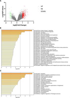 Integrative Analyses of Genes Associated With Osteoporosis in CD16+ Monocyte